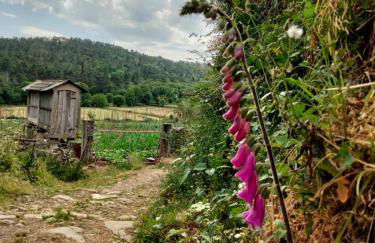 Casa do Caneiro - Foto 45