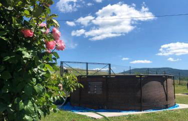 Agroturystyka Zagroda Miłkowskie - Photo 14