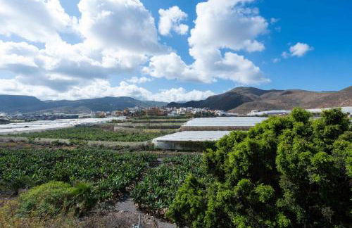 Las Fajanas de Gáldar - Foto 36