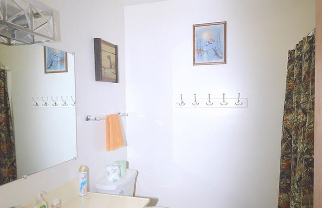 Chesnutt Cabin on the Cacapon River - Foto 17