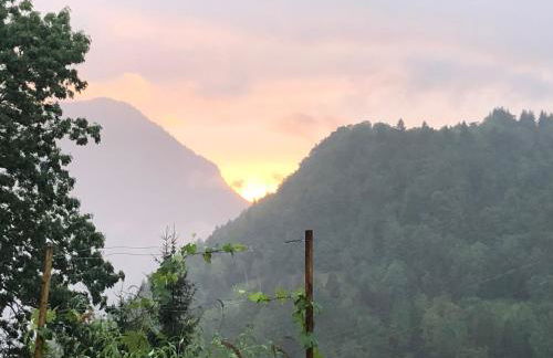Appartement du bois des Fugiers - Foto 20