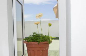 Apartamentos Calypso - Foto 76