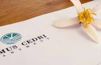 Domus Cedri Apartment - Foto 26