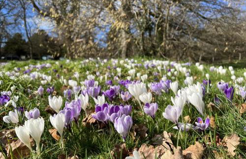 Mole Cottage - Foto 132