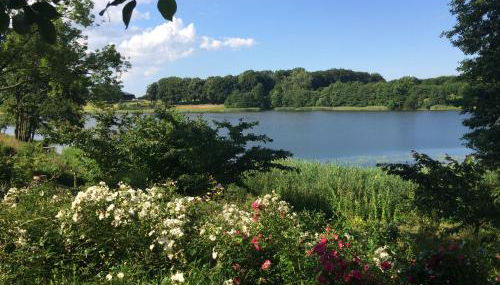 Ferienhaeuser Poenitz am See - Foto 5