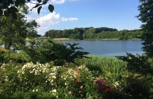 Ferienhaeuser Poenitz am See - Foto 5