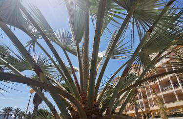 Spain Apartments Mar De Cristal - Foto 27