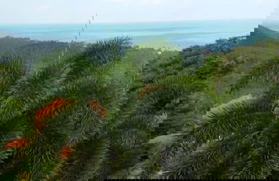 Ever Dreamed of staying in a 3 Bedroom Castle SDV044B - By Samui Dream Villas - Photo 65