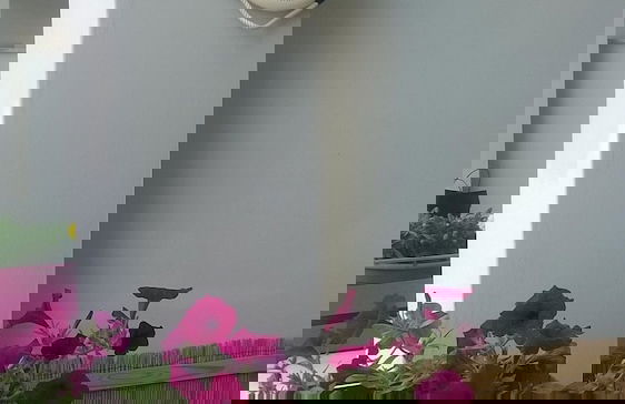 Le Barchette - Foto 75