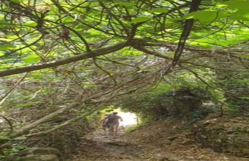 El Águila, Stone Cottage - Foto 25