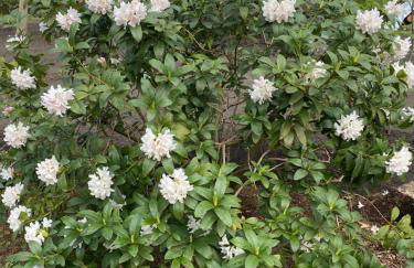 Ferien im Bomlitztal - Foto 2