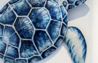 Hightide - Bracklesham Bay - Foto 22