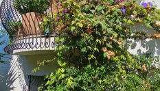 L'Eucalipto - Foto 2