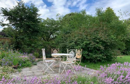 Little Doric - Foto 19