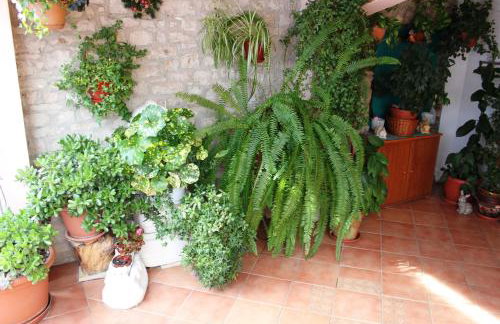 Apartman Nada - Foto 16