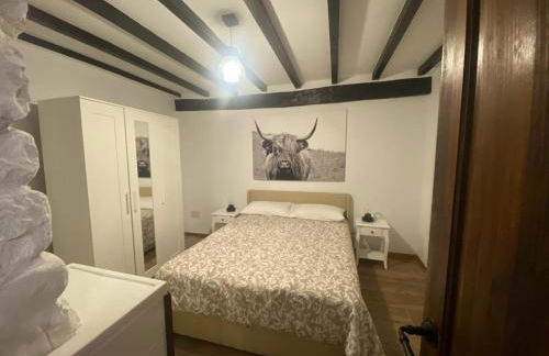 El gallinero de la villana - Foto 9