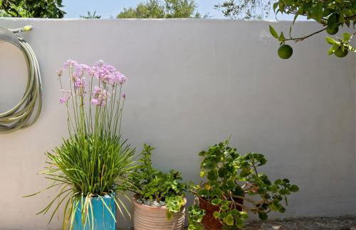 Summer Garden Studio - village location - Foto 23