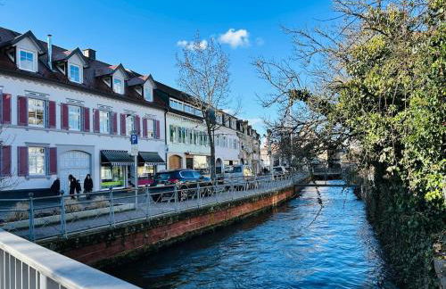 Ferienwohnung Schwarzwaldnest 2 - black forest nest 2, im Herzen von Emmendingen - Foto 18