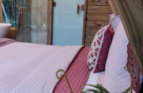 Sitio Lar da Terra - Foto 24