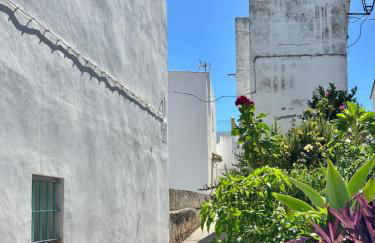 La Gaditana - Foto 28