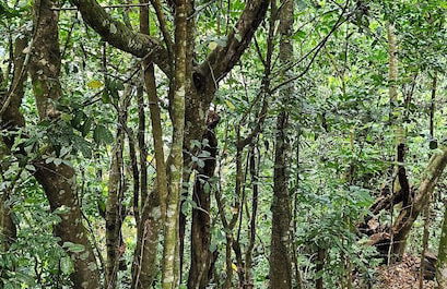 Rincón de Paz - Foto 29