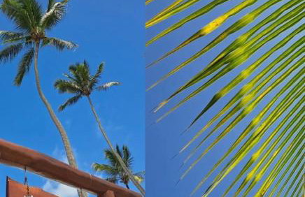 Refúgio exclusivo Eco Resort praia dos Carneiros - Foto 5