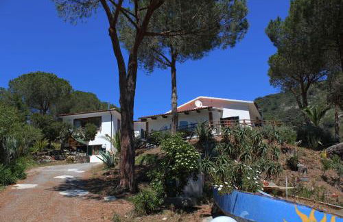 Podere L'Isolella - Foto 10