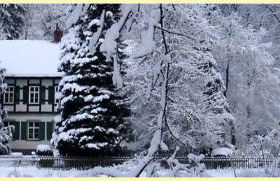 Altes Forstamt im Teutoburger Wald-Fewo Hofgarten - Foto 16