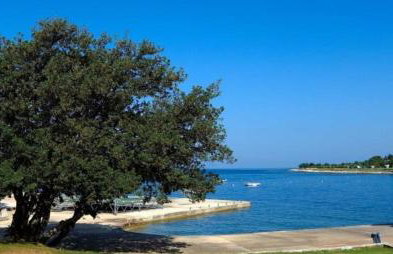 Apartments Eliva - Foto 50