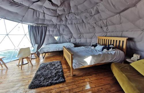 Dome One with Hot Tub, Lincoln, Projector, Firepit - Foto 4