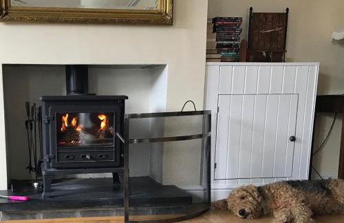 Aotearoa in Church Bay - Foto 9