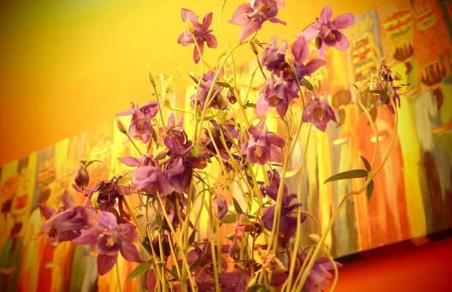 Gailurretan - Photo 44