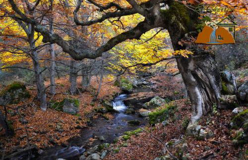 El Chorrón - Foto 31