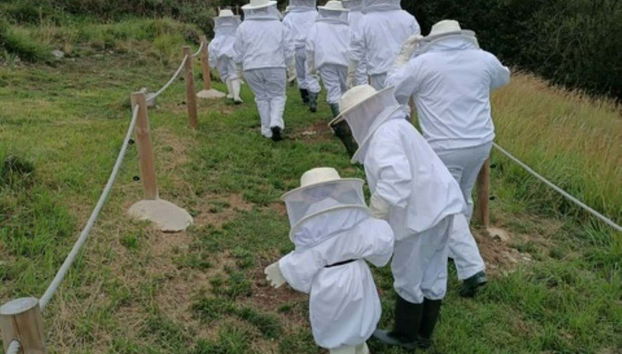 Durante la visita guidata dell'allevamento delle api di Udías