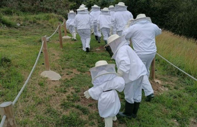 Visita a un allevamento di api con degustazione di miele - Foto 4