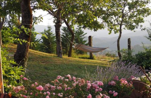 Agriturismo Il Castellaro - Foto 42