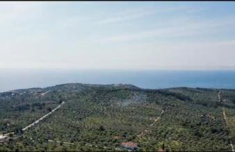 Villa Foti - Foto 22