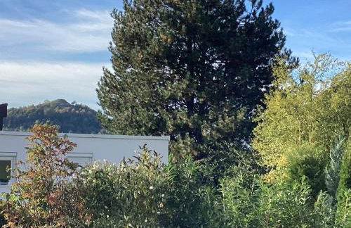 Im Grünen Bereich - Foto 11