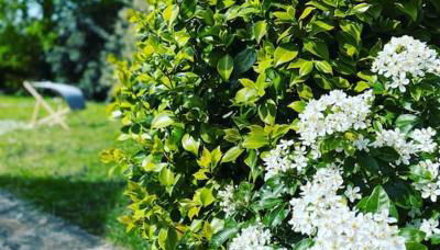 Location de charme, cosy La Maison de Keraudran - Foto 3