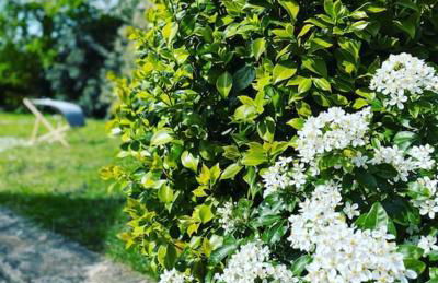 Location de charme, cosy La Maison de Keraudran - Foto 3