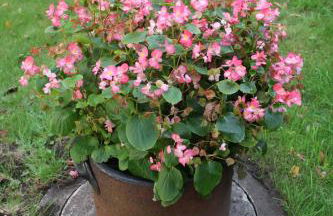 Ferienhaus Im Winkel - Foto 20