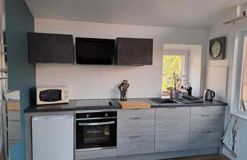 Nid douillet au cœur du vignoble alsacien - Foto 13