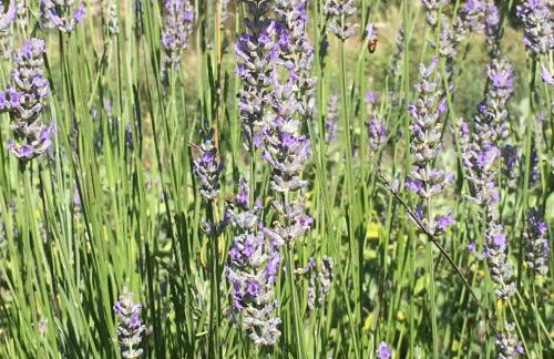 Agriturismo La Casa delle Fate - Photo 20