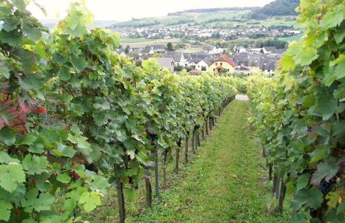 Marmann - large holiday apartment - Foto 5