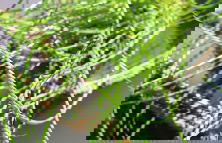 Yewtree Cottage -the Art House - Foto 17