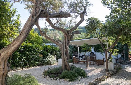 Flora s Home - Foto 14