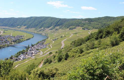 fewogriebelschied - Foto 10