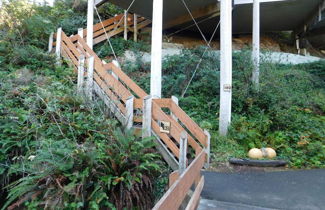 Little Creek Cove Beachfront Resort - Foto 3