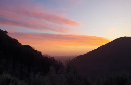 Villa in Tuscany with Pool and Olive Grove - Photo 34
