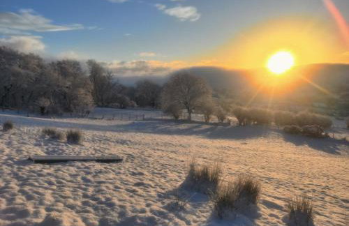 The Home House - Foto 33